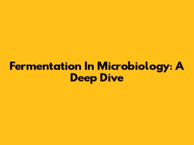 Fermentation In Microbiology: A Deep Dive