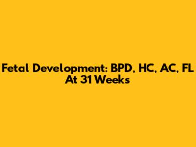 Fetal Development: BPD, HC, AC, FL At 31 Weeks