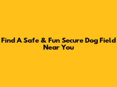 Find A Safe & Fun Secure Dog Field Near You