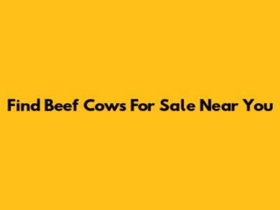 Find Beef Cows For Sale Near You