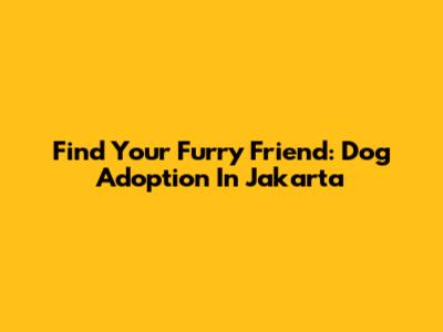 Find Your Furry Friend: Dog Adoption In Jakarta