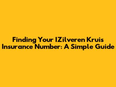 Finding Your IZilveren Kruis Insurance Number: A Simple Guide