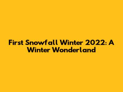 First Snowfall Winter 2022: A Winter Wonderland