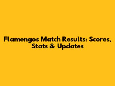Flamengo's Match Results: Scores, Stats & Updates