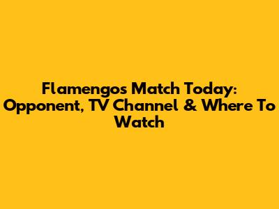 Flamengo's Match Today: Opponent, TV Channel & Where To Watch