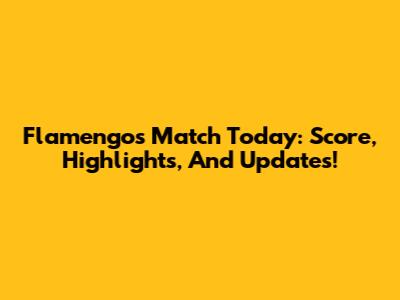 Flamengo's Match Today: Score, Highlights, And Updates!