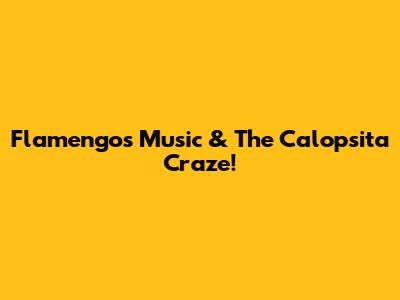 Flamengo's Music & The Calopsita Craze!