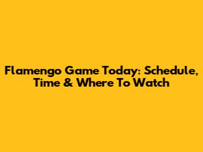 Flamengo Game Today: Schedule, Time & Where To Watch