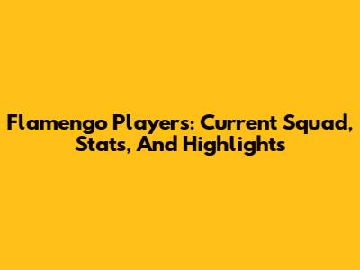 Flamengo Players: Current Squad, Stats, And Highlights