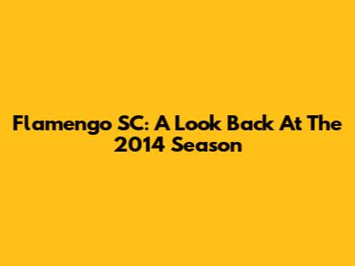 Flamengo SC: A Look Back At The 2014 Season