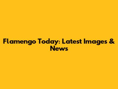 Flamengo Today: Latest Images & News