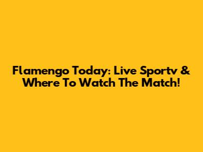 Flamengo Today: Live Sportv & Where To Watch The Match!