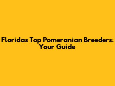 Florida's Top Pomeranian Breeders: Your Guide