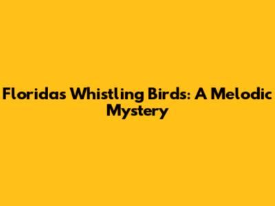 Florida's Whistling Birds: A Melodic Mystery