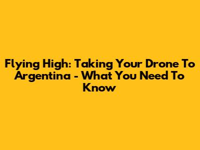 Flying High: Taking Your Drone To Argentina - What You Need To Know