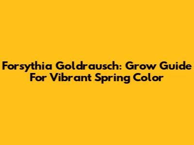 Forsythia 'Goldrausch': Grow Guide For Vibrant Spring Color