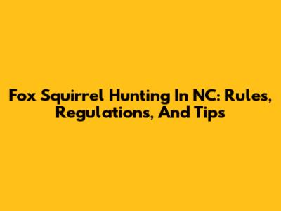 Fox Squirrel Hunting In NC: Rules, Regulations, And Tips