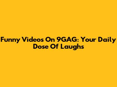 Funny Videos On 9GAG: Your Daily Dose Of Laughs