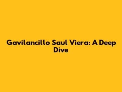 Gavilancillo Saul Viera: A Deep Dive