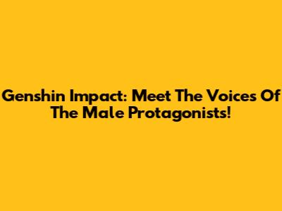 Genshin Impact: Meet The Voices Of The Male Protagonists!