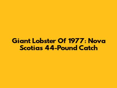 Giant Lobster Of 1977: Nova Scotia's 44-Pound Catch