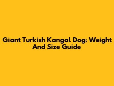 Giant Turkish Kangal Dog: Weight And Size Guide