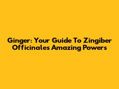Ginger: Your Guide To Zingiber Officinale's Amazing Powers