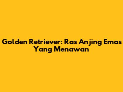 Golden Retriever: Ras Anjing Emas Yang Menawan