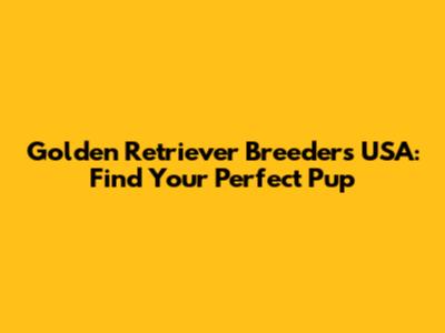 Golden Retriever Breeders USA: Find Your Perfect Pup