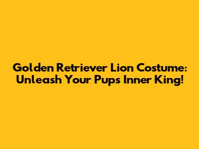 Golden Retriever Lion Costume: Unleash Your Pup's Inner King!
