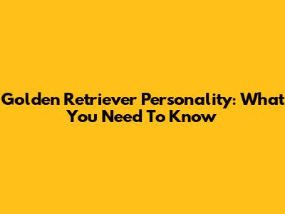 Golden Retriever Personality: What You Need To Know