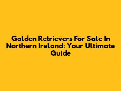 Golden Retrievers For Sale In Northern Ireland: Your Ultimate Guide