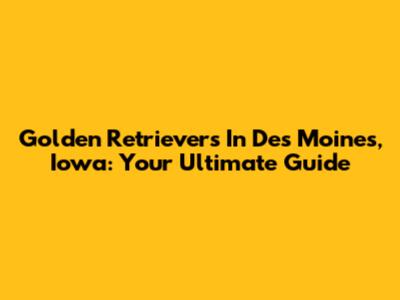 Golden Retrievers In Des Moines, Iowa: Your Ultimate Guide