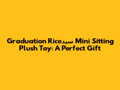 Graduation Riceسپد Mini Sitting Plush Toy: A Perfect Gift