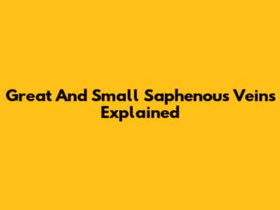 Great And Small Saphenous Veins Explained