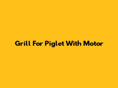 Grill For Piglet With Motor