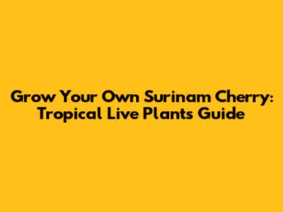 Grow Your Own Surinam Cherry: Tropical Live Plants Guide