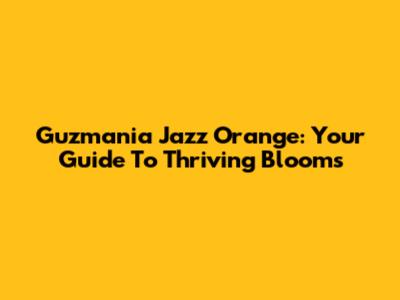 Guzmania Jazz Orange: Your Guide To Thriving Blooms