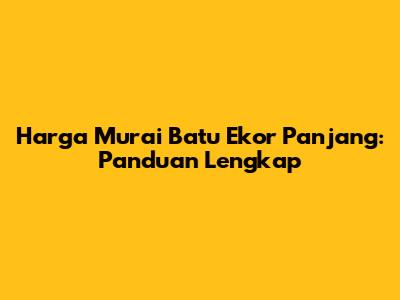 Harga Murai Batu Ekor Panjang: Panduan Lengkap