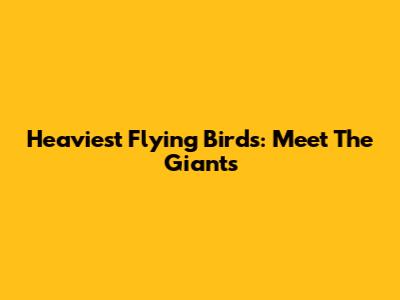 Heaviest Flying Birds: Meet The Giants