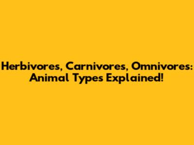 Herbivores, Carnivores, Omnivores: Animal Types Explained!