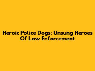 Heroic Police Dogs: Unsung Heroes Of Law Enforcement