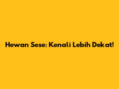 Hewan Sese: Kenali Lebih Dekat!