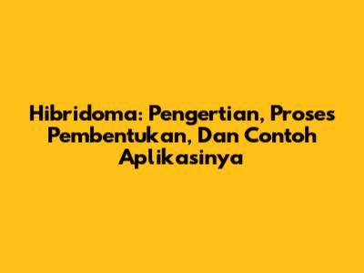 Hibridoma: Pengertian, Proses Pembentukan, Dan Contoh Aplikasinya