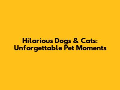 Hilarious Dogs & Cats: Unforgettable Pet Moments