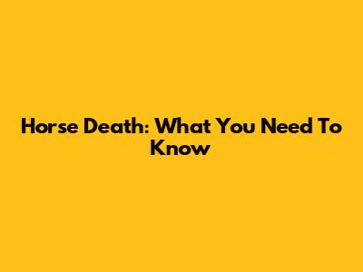 Horse Death: What You Need To Know