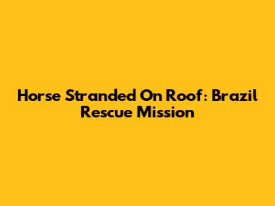 Horse Stranded On Roof: Brazil Rescue Mission