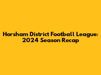 Horsham District Football League: 2024 Season Recap