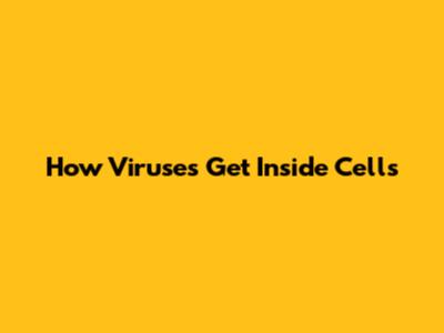 How Viruses Get Inside Cells