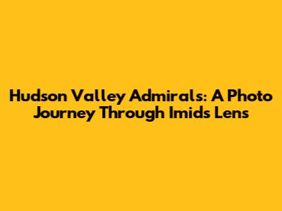 Hudson Valley Admirals: A Photo Journey Through Imid's Lens